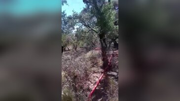 Bursa yakınlarında panik anları! Ekiplerin müdahalesi faciayı önledi