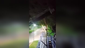 Orhangazi'de at kurtarma operasyonu! Vatandaşlar seferber oldu