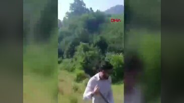 Bursa'da definecilerin kazdığı çukura inek düştü!