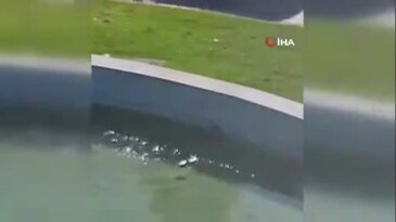 Bursa'da yürekleri ısıtan görüntüler!