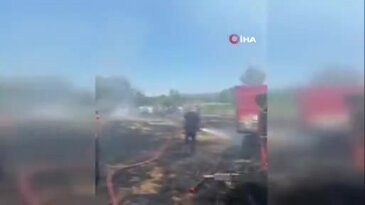 Anız alevi 20 dönümü küle çevirdi