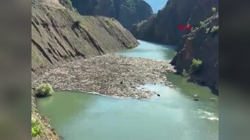 Artvin Şavşat'ta 14 günlük arama sonuçlandı: Barajdan cansız bedeni çıktı...