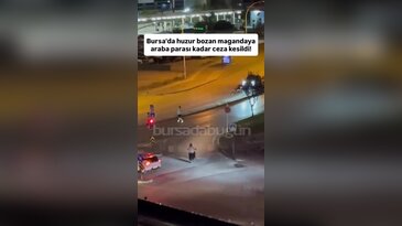 Bursa'da huzur bozan magandaya araba parası kadar ceza kesildi!