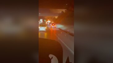 Bursa Çevre Yolu'nda araç yangını! Rüzgar alevleri çevreye yaydı...