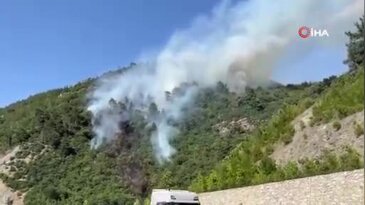 Bursa'da yangın ormanlık alana sıçradı! Alevler villalara doğru ilerliyor...