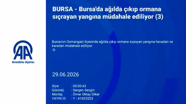 Bursa'da yangın ormanlık alana sıçradı! Alevler villalara doğru ilerliyor...