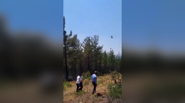 Bursa'da bir orman yangını daha! Alevler hızla büyüdü