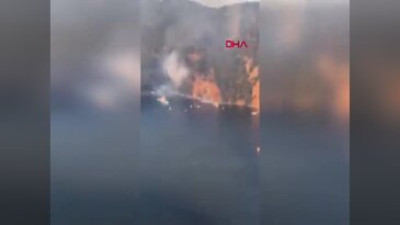İstanbul Büyükada'da yangın paniği!