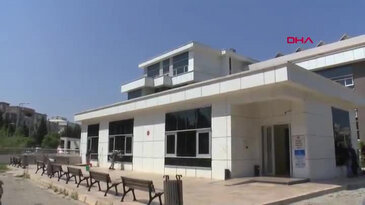 İzmir'de ayı dehşeti! Balkonda uyurken canını aldı
