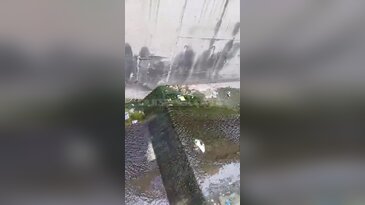 Bursa'nın tam ortasında görenleri üzen manzara! Dere çöplerle doldu