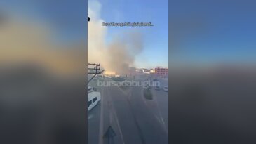 Bursa'da tarlada yangın! Dumandan göz gözü görmedi...