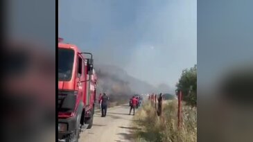 İznik'te korkutan yangın! Ormana sıçramaması için havadan karadan müdahale...