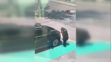 Duygulandıran anlar! Makam aracındaki Türk bayrağını öpen teyze, Vali tarafından ağırlandı