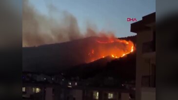 İzmir'de otluk alanda yangın çıktı! Ekiplerin müdahalesi sürüyor...