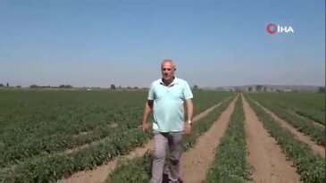 Bursa'da 'bugün, yarın' diyerek 20 milyon TL zarara soktular! Kulaklara küpe olacak uyarı