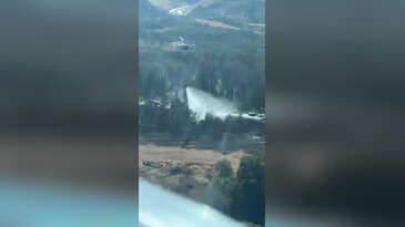 Bursa'da yangın! Ormanlık alana sıçramadan söndürüldü