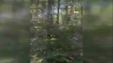 Bursa'da bir orman yangını daha! Bu kez farklı noktada alevler yükseldi