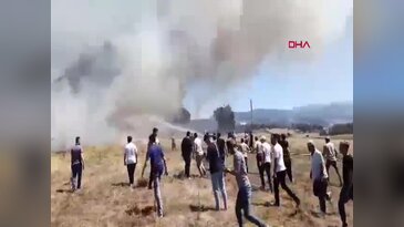 Bursa'da anız yangını! 3 dönümlük alan kül oldu...