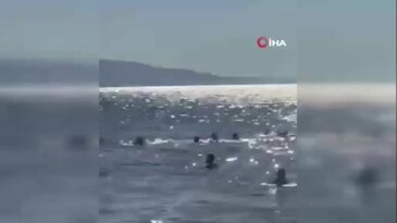 Bursa'da denize giren baba kız ölümden döndü!