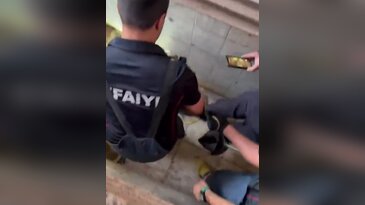 Feribottan indi, aracında gördüğü şey karşısında şoke oldu!