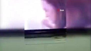 İstanbul'da evlere giren dev çekirgeler paniğe neden oldu