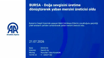 Bursa'da şehir hayatını geride bıraktı! Dedesinden kalan tarlayı yeniden canlandırdı