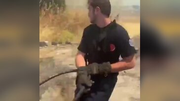 Bursa'da korkutan yangın! Otluk alan alevlere teslim oldu