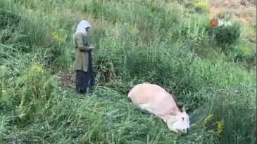 Tek dayanağıydı... Uçurumun kenarında gözyaşlarına boğulan anne herkesi üzdü!