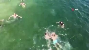 Denizde korku dolu anlar! Onlarca kişi suya daldı...
