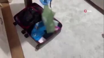 Tacikistan tarafından kırmızı bülten ile aranan uyuşturucu kaçakçısı İstanbul'da yakalandı