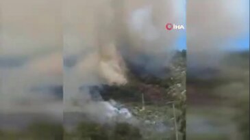 Bursa'nın yanı başındaki tatil cennetinde yangın! Alevler evlerin dibine geldi