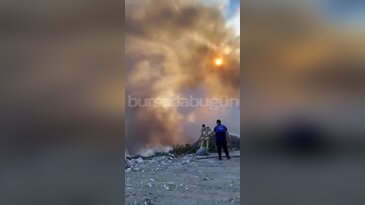 Bursa'da bir yangın daha! Ormanlık alan sıçramadan söndürüldü...