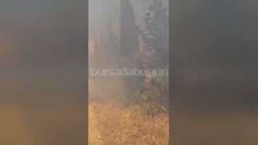Bursa'daki yangında alevler böyle harladı: 'Aman Allah'ım...'
