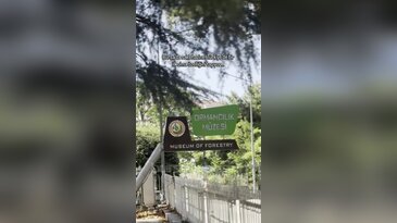 Bursa'da saklı hazine! Türkiye'de bir ilk olma özelliğini taşıyor