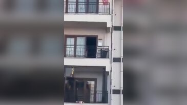 Mide bulandıran görüntü! Kameraya alan komşularına aldırış etmedi