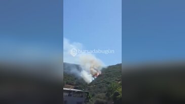 Bursa'da orman yangını başladı! Ekipler olay yerinde...