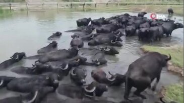 Bursa'da üretilen bu sucuk yok satıyor! Her ilden sipariş geliyor
