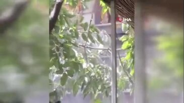 Baba istemeden oğlunun iş yerini yaktı!