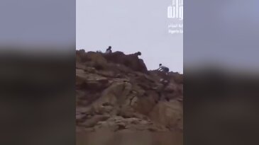 Ülkeye dönen Faslı göçmenlere taşlı müdahale! Görüntüler infial yarattı