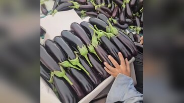 Üreticinin kazanamadığı ürün markette pahalıya satılıyor! Fiyat farkı şaşırttı...