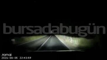 Bursa'da otomobil domuza çarptı! Kaza anı kamerada...
