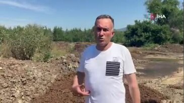 Bursa'da çiftçinin formülü şaşırttı! Gübreye tek kuruş harcamıyor...