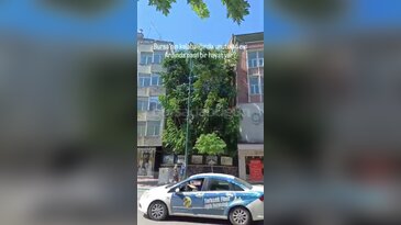 Bursa'nın göbeğinde tarih çöküyor! Hayri Köstem evi kaderine terk edildi