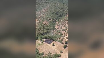 Bursa'da orman yangını paniği! Helikopterler peş peşe havalandı