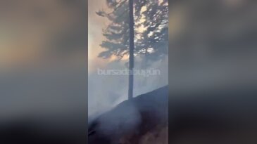 Bursa'da orman yangını başladı! Uludağ'da alevler büyüyor...