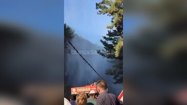 Bursa'da orman yangını başladı! Uludağ'da alevler büyüyor...