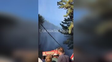 Bursa'da orman yangını başladı! Uludağ'da alevler büyüyor...