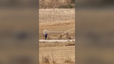 Bursa'da pes dedirten olay! Tarlayı yakıp koşarak kaçtı, o anlar kamerada...