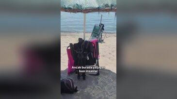 Tatilcilerin gözde adresinde pes dedirten manzara! "Resmen tapulamışlar"