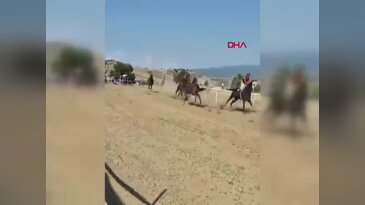 Taşköprü'de at yarışında feci kaza: Başıboş at piste girdi